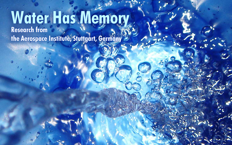 water has memory research paper
