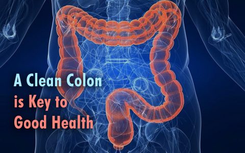 A Clean Colon Is Key To Good Health - Glen Weimer Holodynamic Bodywork