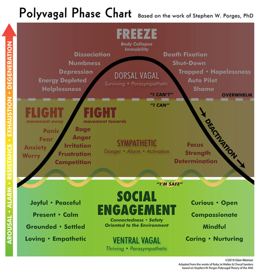 polyvagalWave_chart_01vb Glen Weimer Holodynamic Bodywork