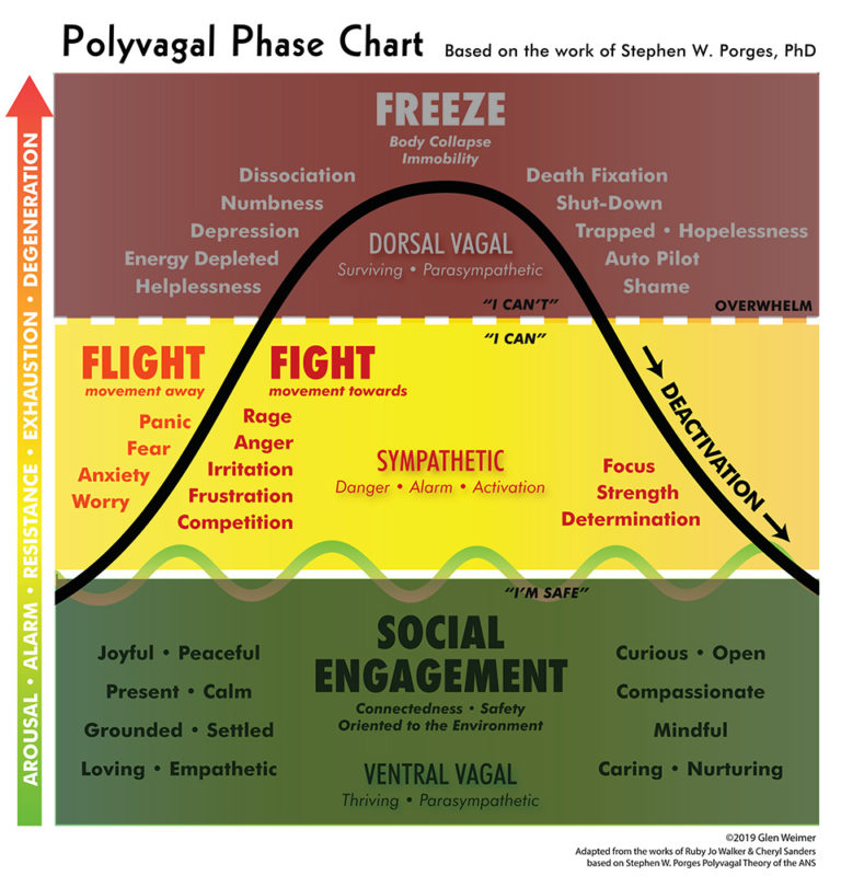 polyvagal-Wave_chart_02vb - Nantucket Holistic Bodywork