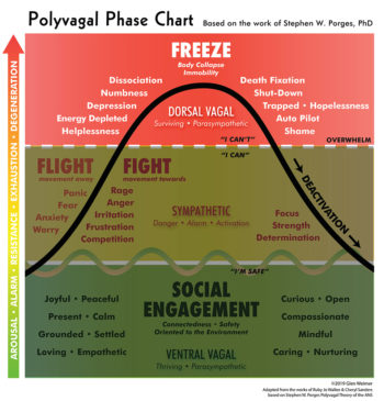 polyvagal-Wave_chart_03vb - Glen Weimer Holodynamic Bodywork